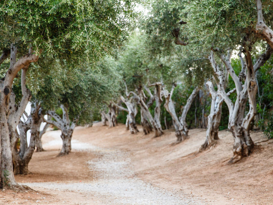 Creta Maris Edible Landscape