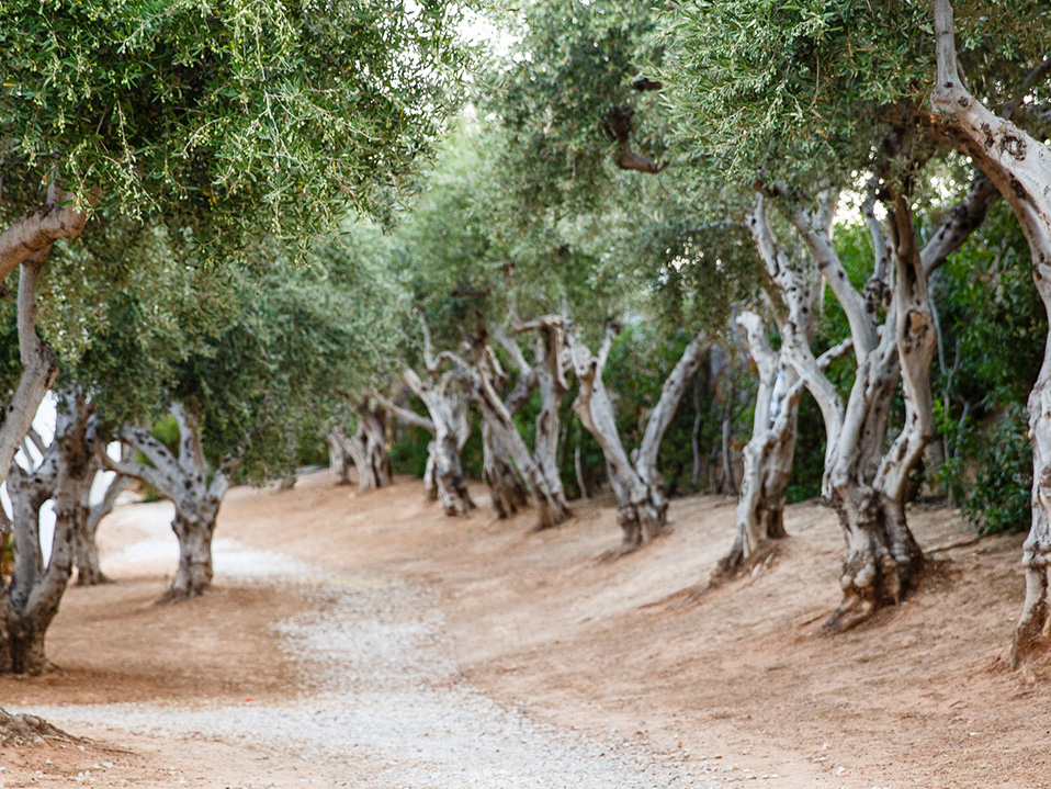 Creta Maris ertragreiche Landschaft