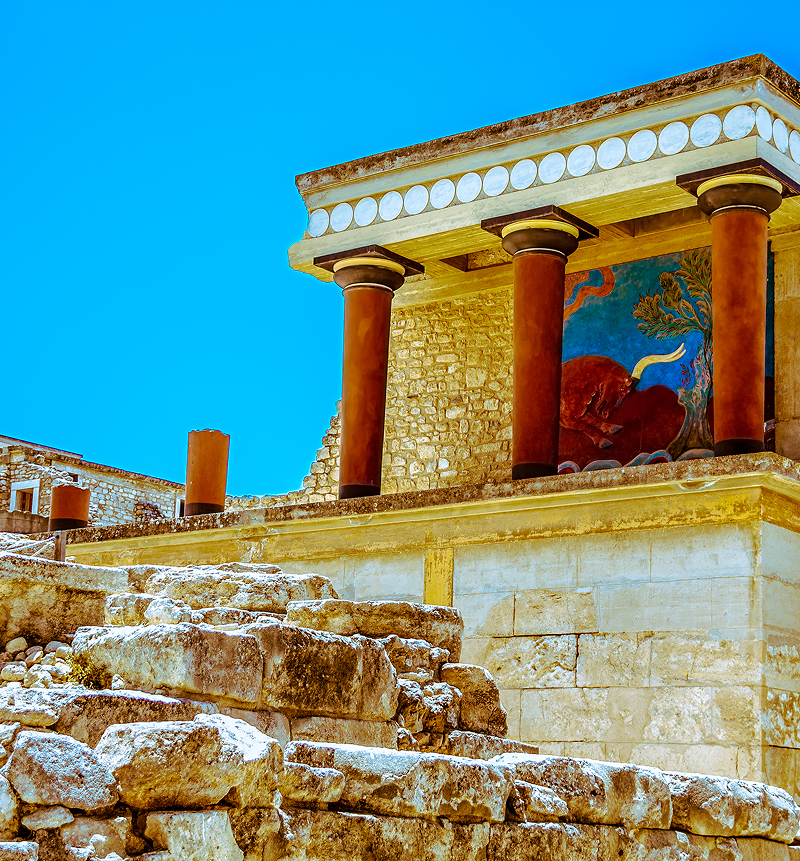 Sightseeing Tours