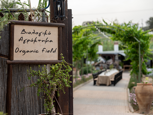 Organic Field
