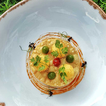 Hortopita with Feta & Katsochiri Fritters 