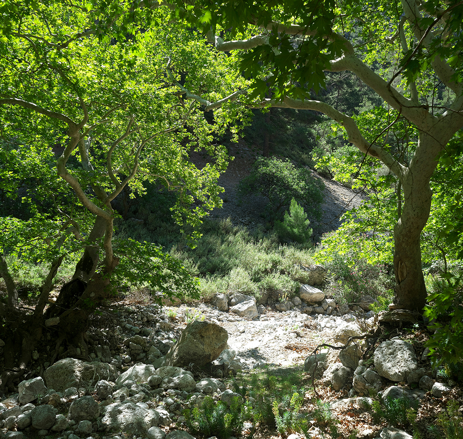 Nature Tours